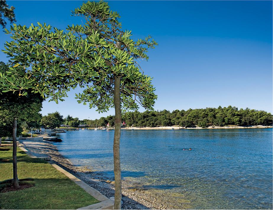 Zorna Plava Laguna Poreč